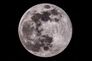 Mind the moon when planting